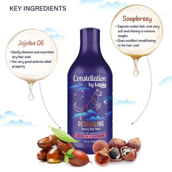 CONSTELLATION DETANGLING DOG SHAMPOO - Image 3