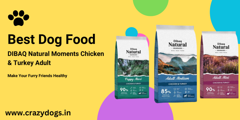 Best Dog Food in india 2024