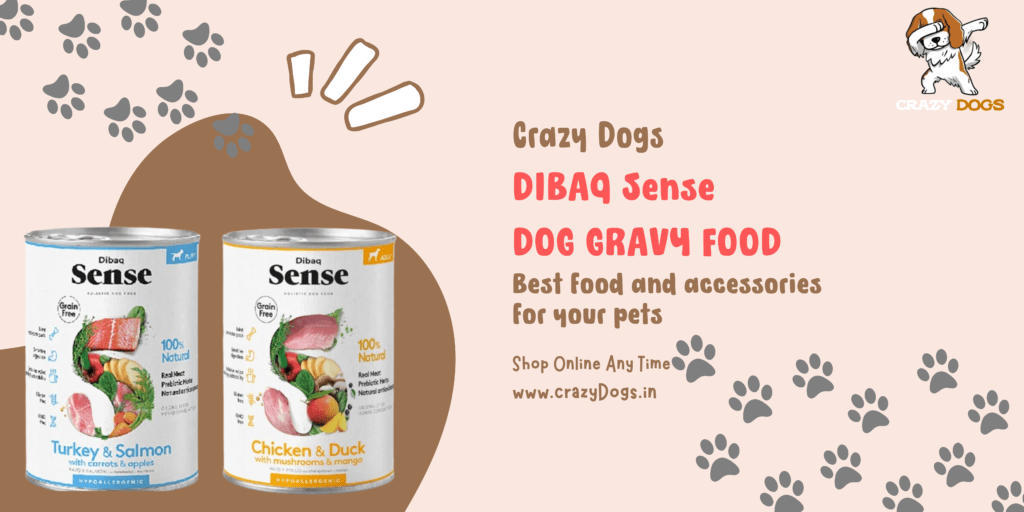 Best Dog Dibaq Gravy food Online 2024