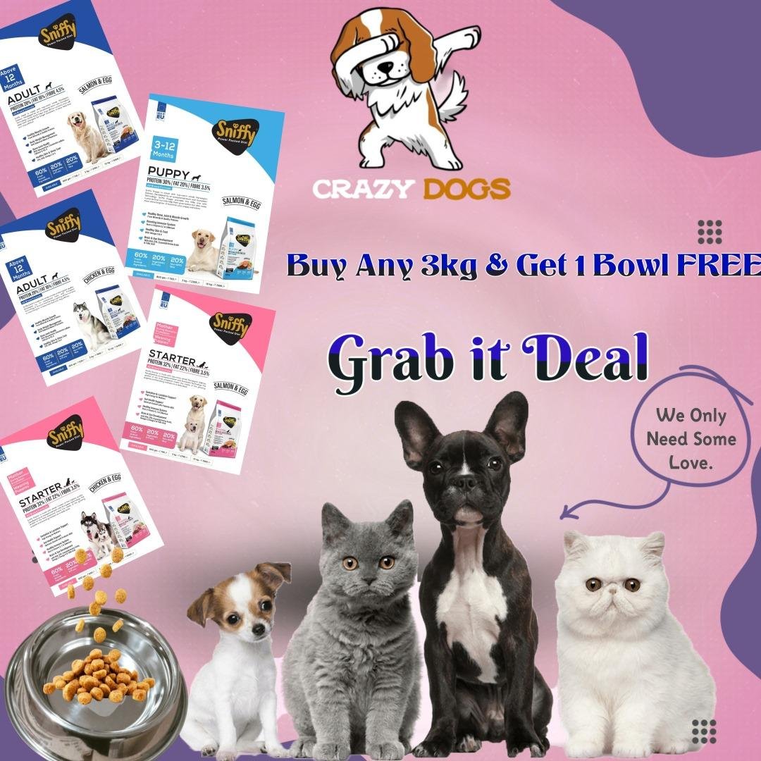 Banner with various dog food options - kibble, dry food, wet food, raw food, etc. - for all ages and needs.