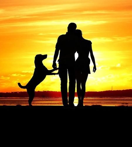 sunset, nature, man-3958681.jpg